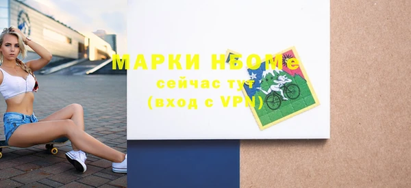 хмурый Абаза