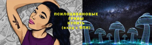 ECSTASY Липки