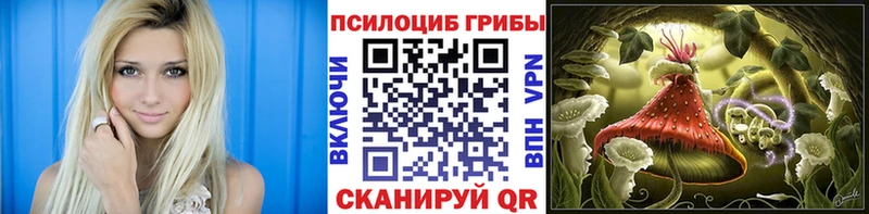 Псилоцибиновые грибы прущие грибы  Сусуман 
